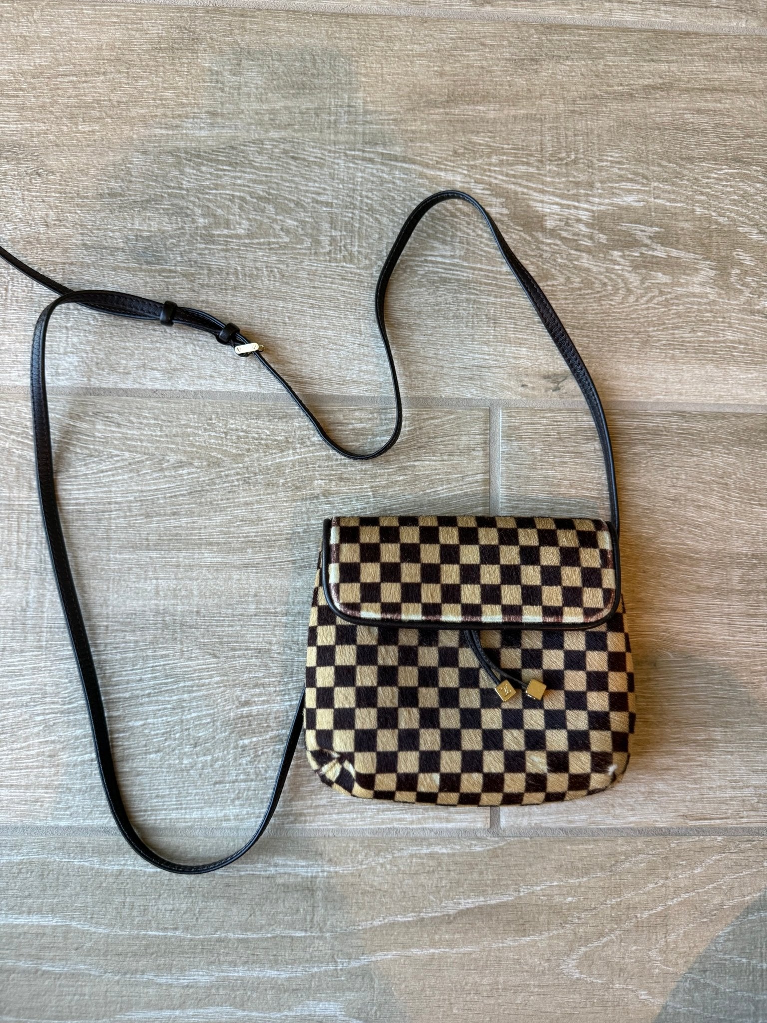 Louis Vuitton Damien Sauvage Gazelle Pouchette - LuxeLadyConnoisseur